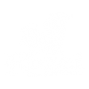 kozel